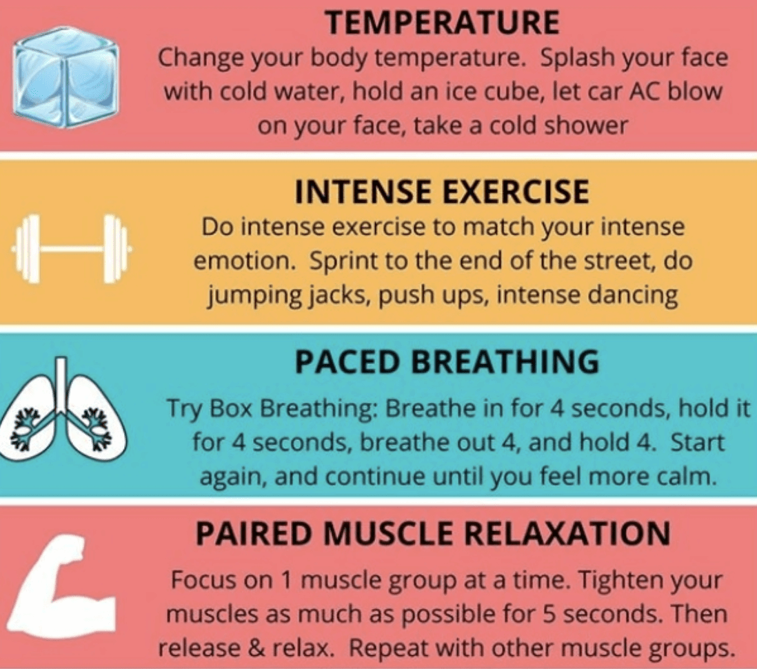 working4recovery.com